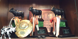 旭屋の神戸牛